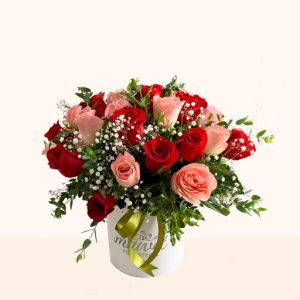 25 ROSAS BICOLOR EN CILINDRO